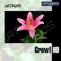 Artbeats Grow! HD