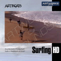 Artbeats Surfing