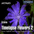 Artbeats Timelapse Flowers 2