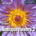 Artbeats Timelapse Flowers 3