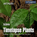 Artbeats Timelapse Plants