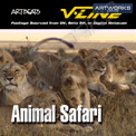 Artbeats Animal Safari (V-Line)