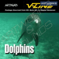 Artbeats Dolphins (V-Line)