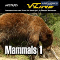 Artbeats Mammals 1 (V-Line)