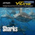 Artbeats - Sharks (V-Line)