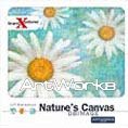 Brand X Pictures L153 - Nature's Canvas
