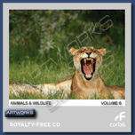 Corbis CB0006 - Animals and Wildlife