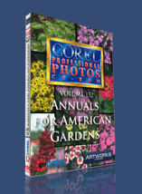 Corel Professional Photos - 132 - Annuals for American Gardens