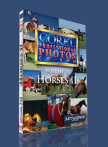 Corel Professional Photos vol. 741 - Horses II