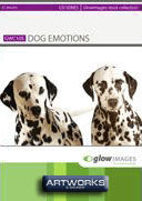 GlowImages GWC105 - Dog Emotions
