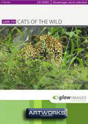 GlowImages GWN103 - Cats of the Wild