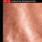Imagestate (John Foxx) BS02 - Executive Backgrounds