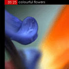 Imagestate (John Foxx) BS25 - Colourful flowers