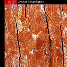Imagestate (John Foxx) BS27 - Wood Structures