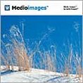 MedioImages WT19 - Discover The Four Seasons