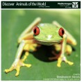 MedioImages WT39 - Discover Animals of The World