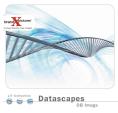 Brand X Pictures L343 - Datascape