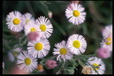 Corbis - Digital Stock