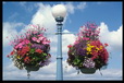 Corbis - Digital Stock