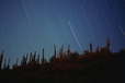 Corbis - Digital Stock