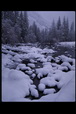 Corbis - Digital Stock