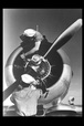 Corbis - Digital Stock