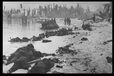 Corbis - Digital Stock