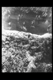 Corbis - Digital Stock