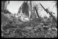 Corbis - Digital Stock