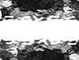 Freedom FX - StillMattes - Letterbox