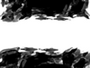 Freedom FX - StillMattes - Letterbox