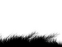 Freedom FX - StillMattes - Lower 1/3's