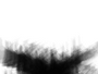 Freedom FX - StillMattes - Lower 1/3's