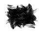 Freedom FX - StillMattes - Organics