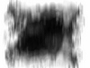 Freedom FX - StillMattes - Organics
