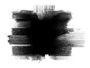 Freedom FX - StillMattes - Textured
