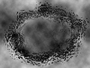Freedom FX - StillMattes - Textured
