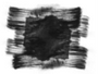 Freedom FX - StillMattes - Textured