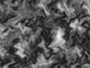 Freedom FX - StillMattes - Transitions