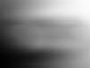 Freedom FX - StillMattes - Transitions