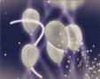 HyperEye Optics - Party Time v.1