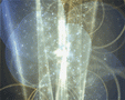 HyperEye Optics - Sparckles v.2